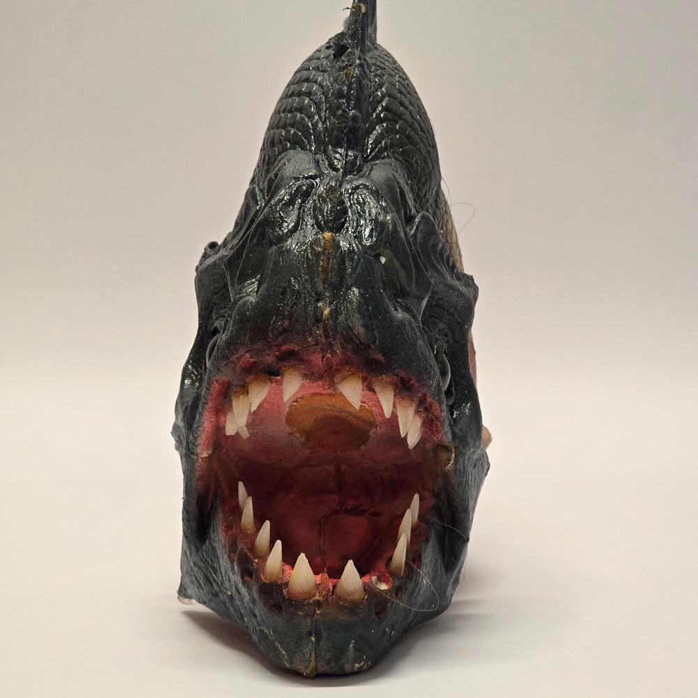 
                      
                        Originaler screen-used Background Piranha aus dem Kultfilm «PIRANHA 3DD» (2012)
                      
                    