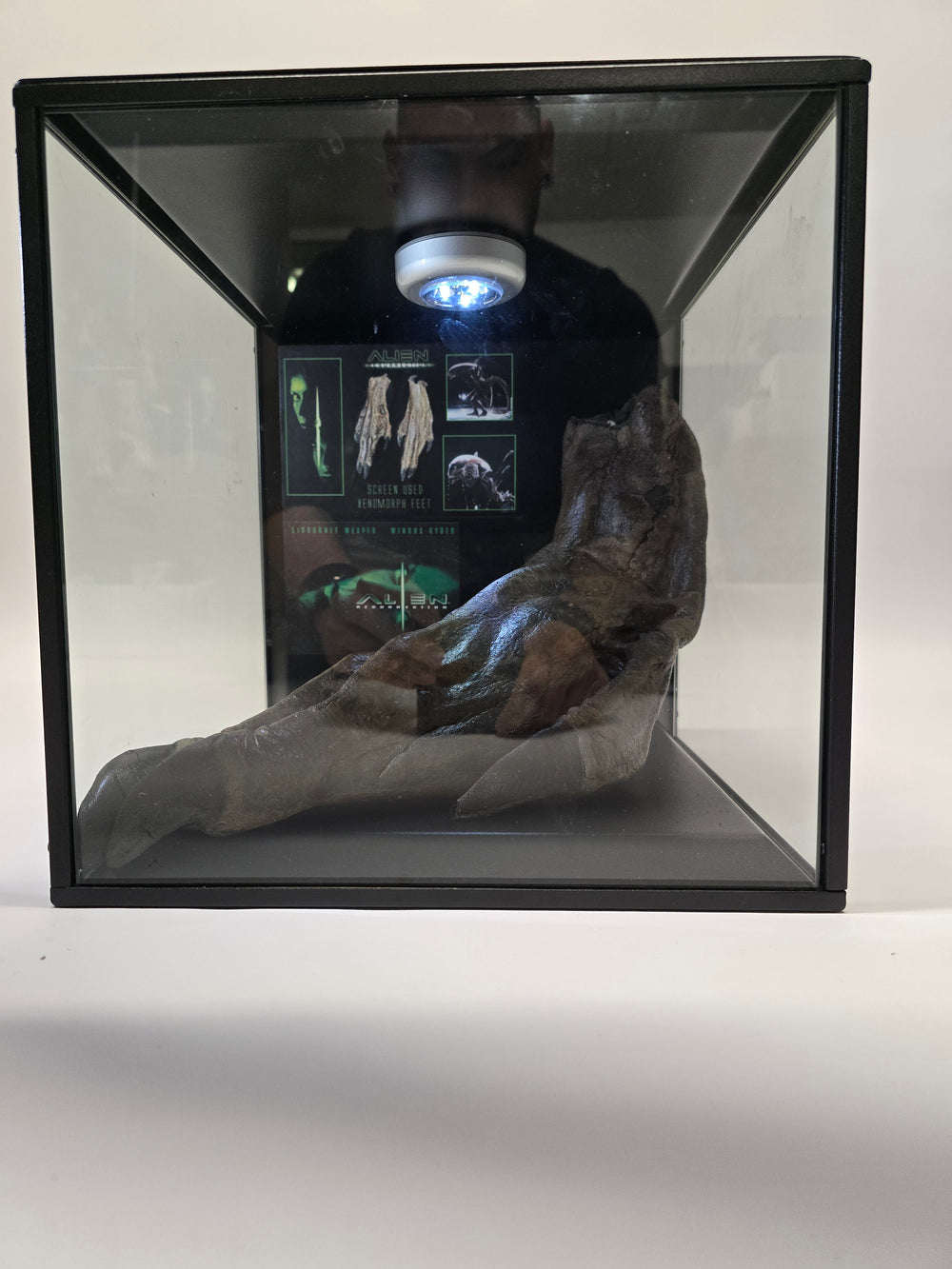 Original screen-used Alien-Fuß aus einem der Hero-Kostüme von «ALIEN RESURRECTION» (2000)