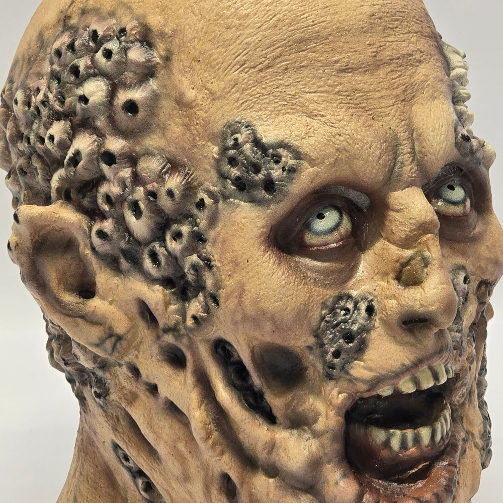 
                      
                        1:1 Zombie Halloween-Maske im Stil von «THE WALKING DEAD»
                      
                    